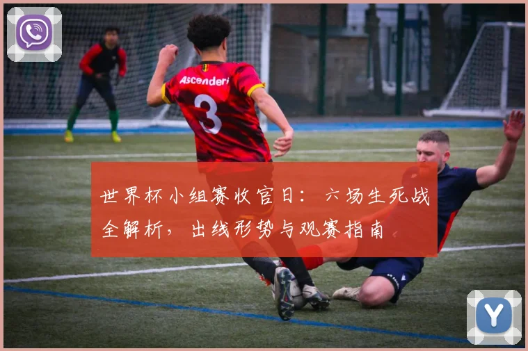 世界杯小组赛收官日：六场生死战全解析，出线形势与观赛指南